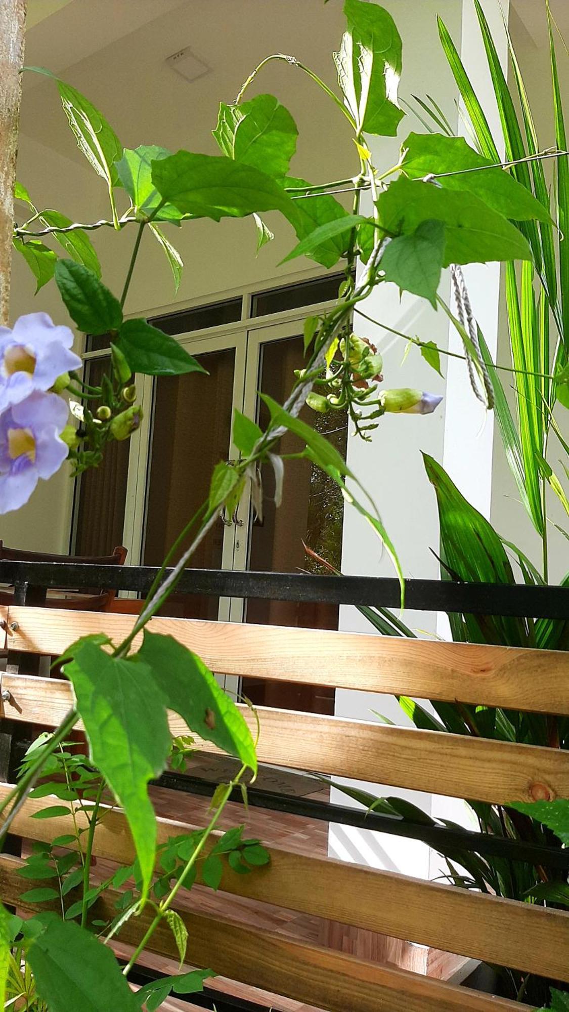 Dhanudi Homestay Ела Екстериор снимка
