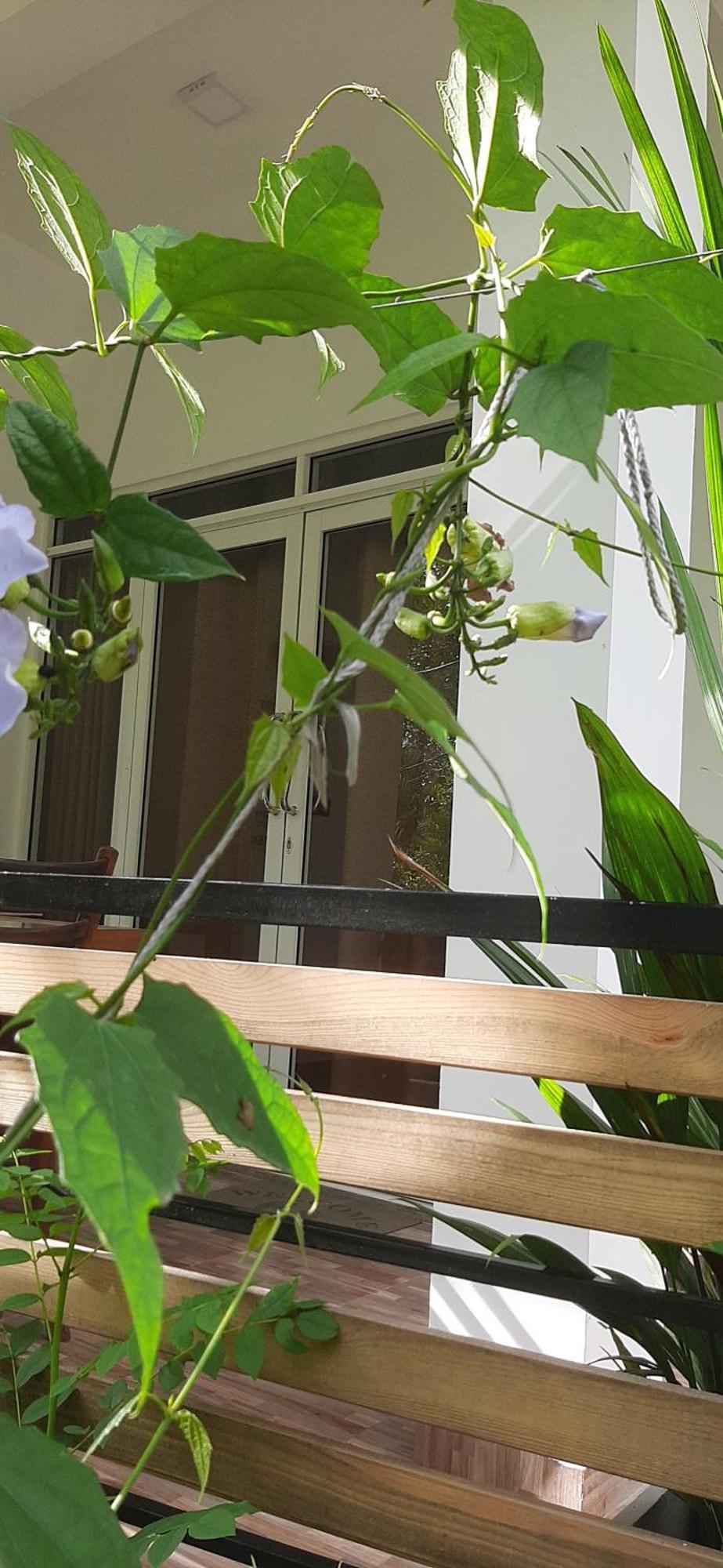 Dhanudi Homestay Ела Екстериор снимка