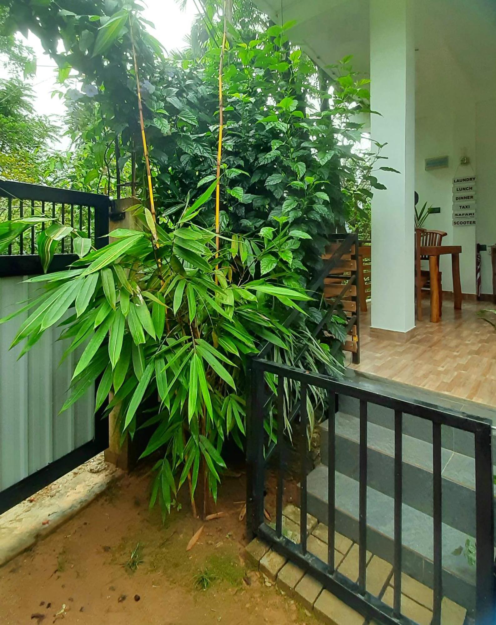 Dhanudi Homestay Ела Екстериор снимка