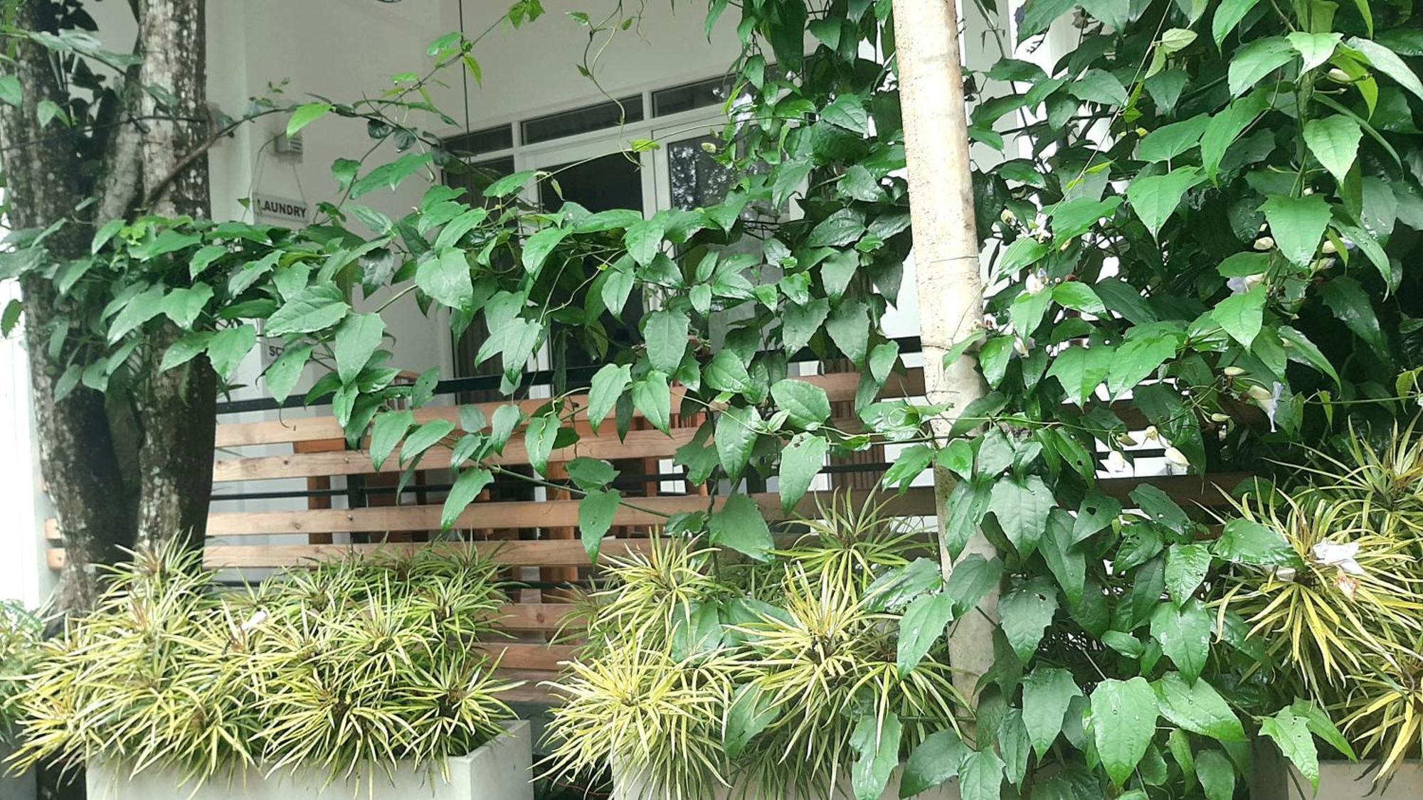 Dhanudi Homestay Ела Екстериор снимка